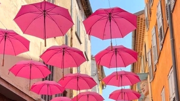 Pourquoi les parfums fabriqués à Grasse sont-ils si réputés ?