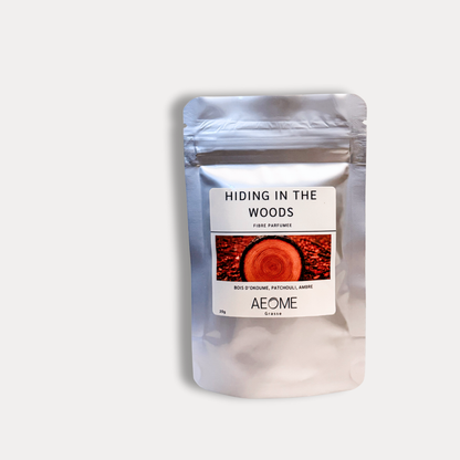 Hiding in the woods - Caché dans les bois