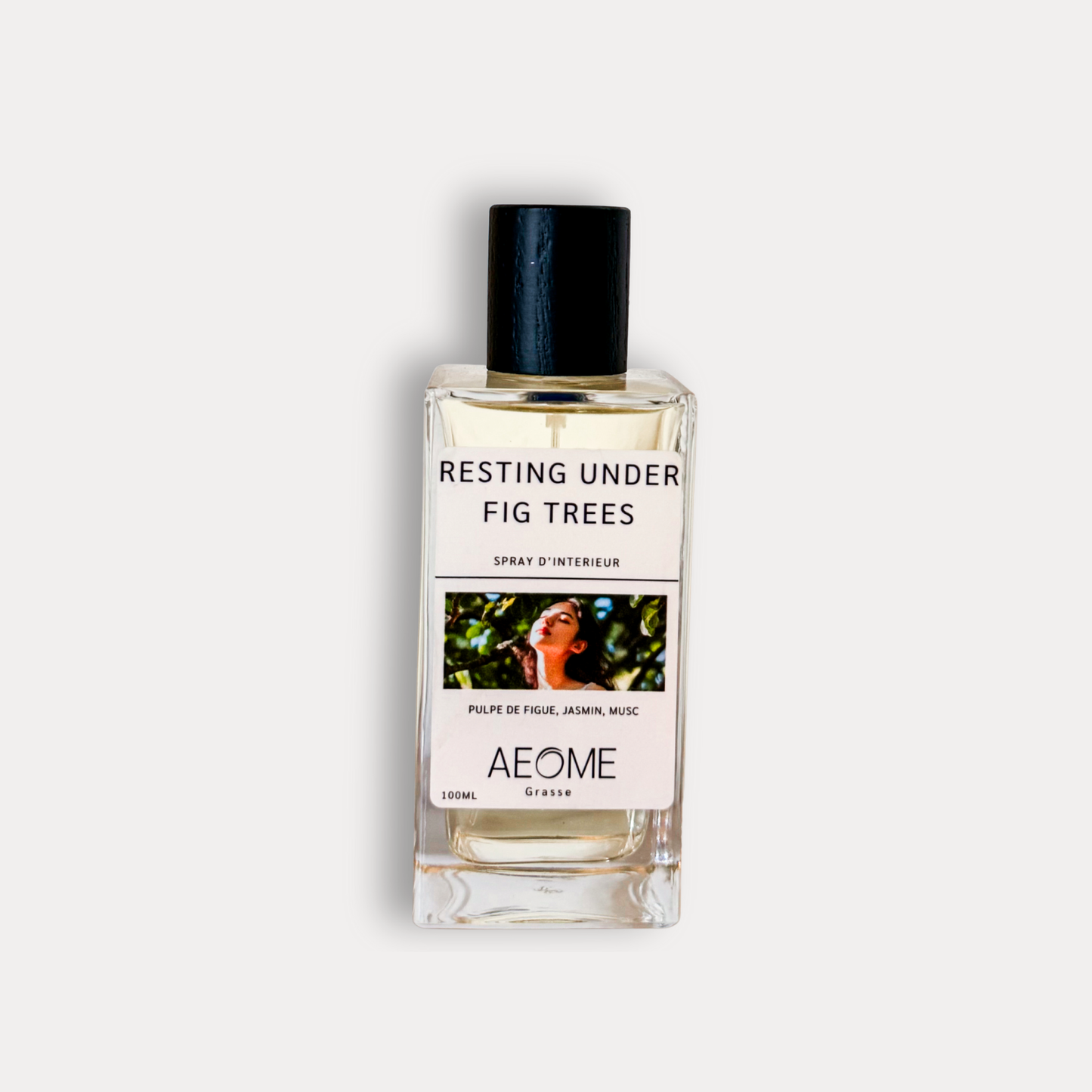 Resting under fig trees - Repos sous les figuiers