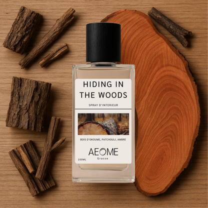 Hiding in the woods - spray d'intérieur avec Aepur™