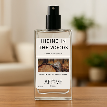 Hiding in the woods - spray d'intérieur avec Aepur™