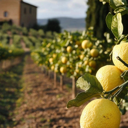 Awaken in Tuscany - fibre parfumée avec Aepur™