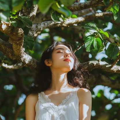 Resting under fig trees - spray d'intérieur avec Aepur™